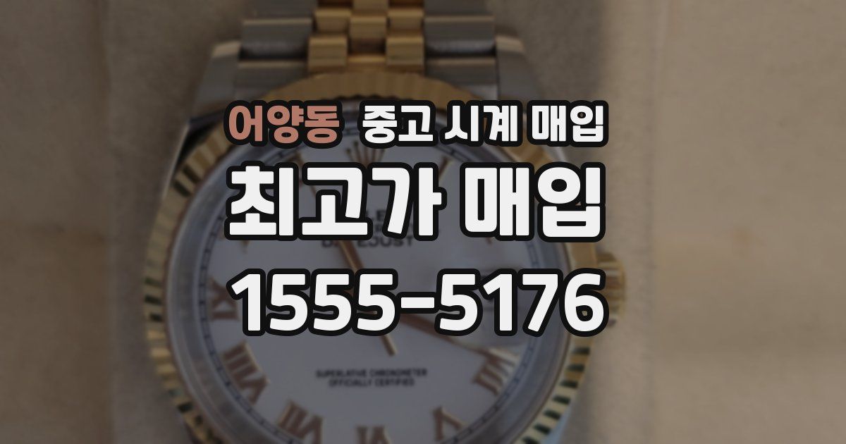 어양동 중고 시계 매입