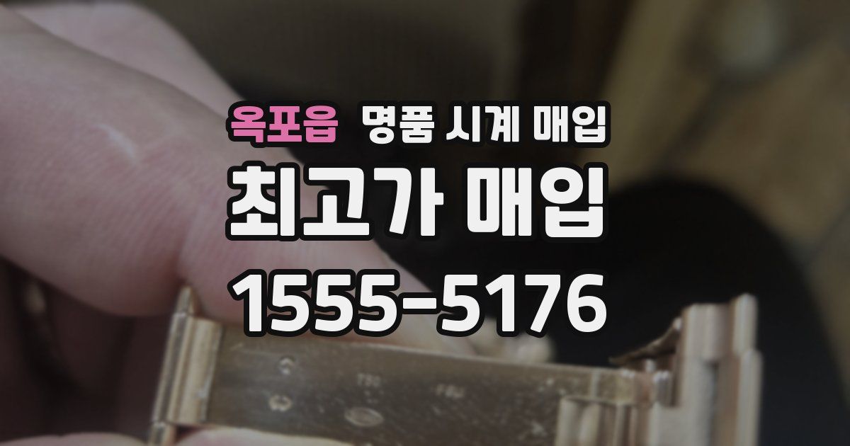 옥포읍 명품 시계 매입