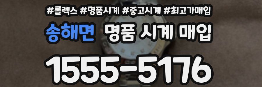 송해면 명품 시계 매입