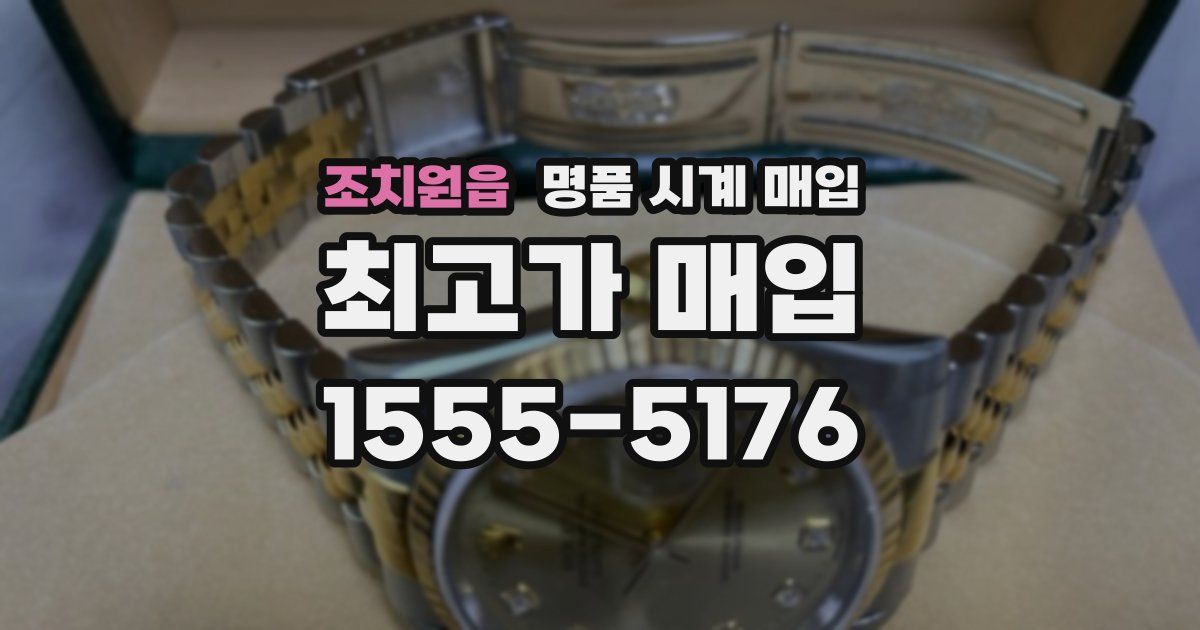 조치원읍 명품 시계 매입