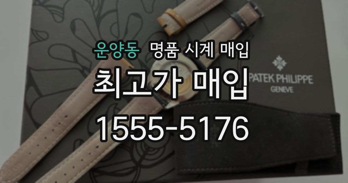 운양동 명품 시계 매입