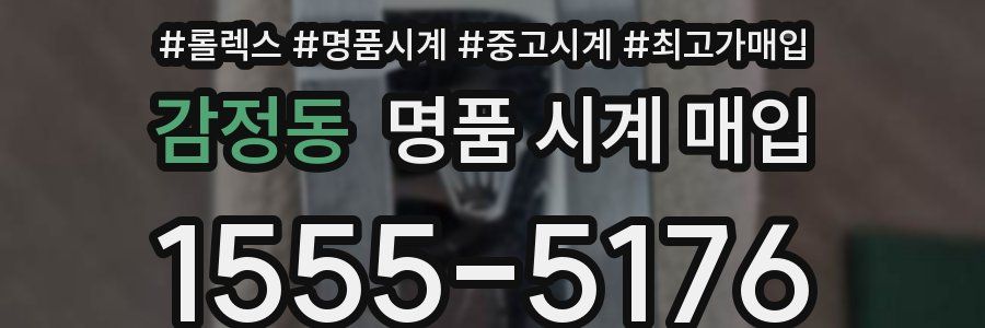 감정동 명품 시계 매입