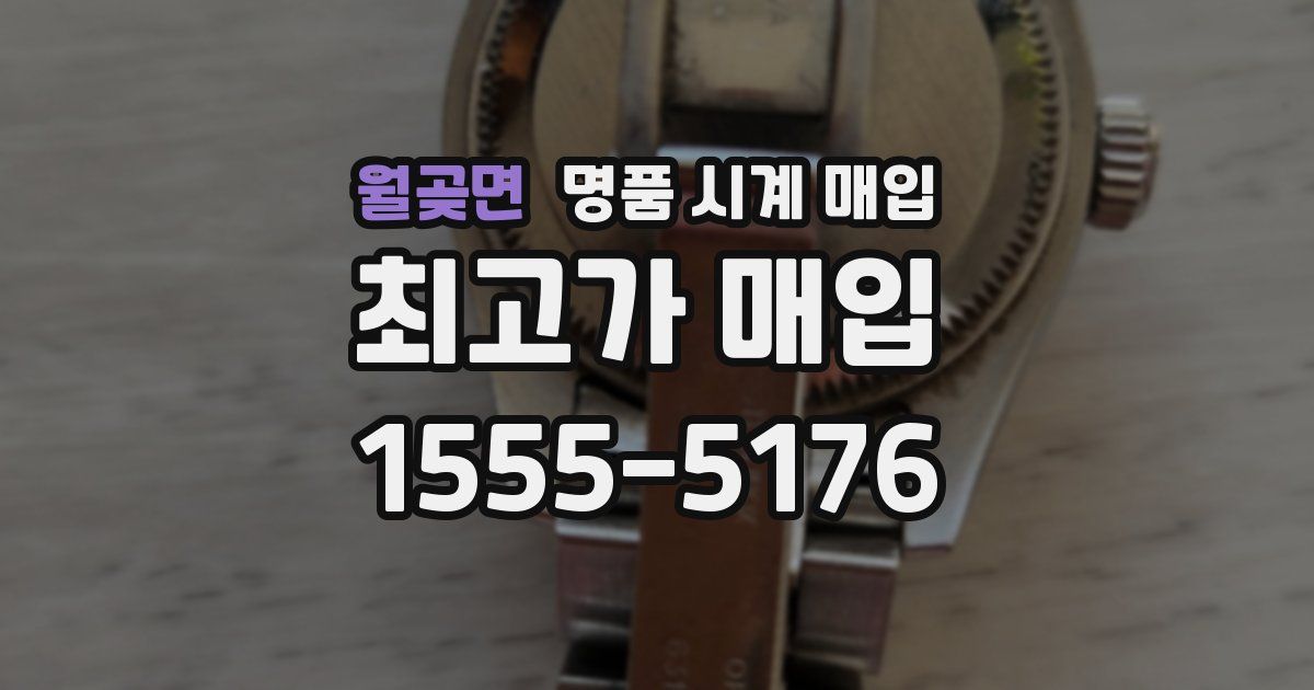 월곶면 명품 시계 매입