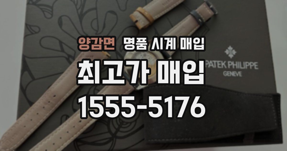 양감면 명품 시계 매입