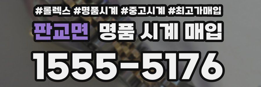 판교면 명품 시계 매입