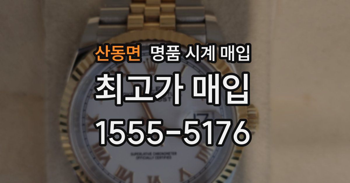 산동면 명품 시계 매입