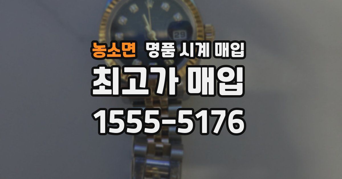 농소면 명품 시계 매입