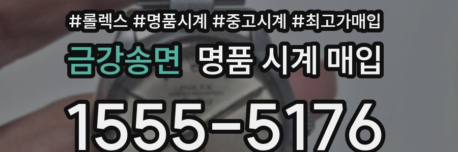 금강송면 명품 시계 매입