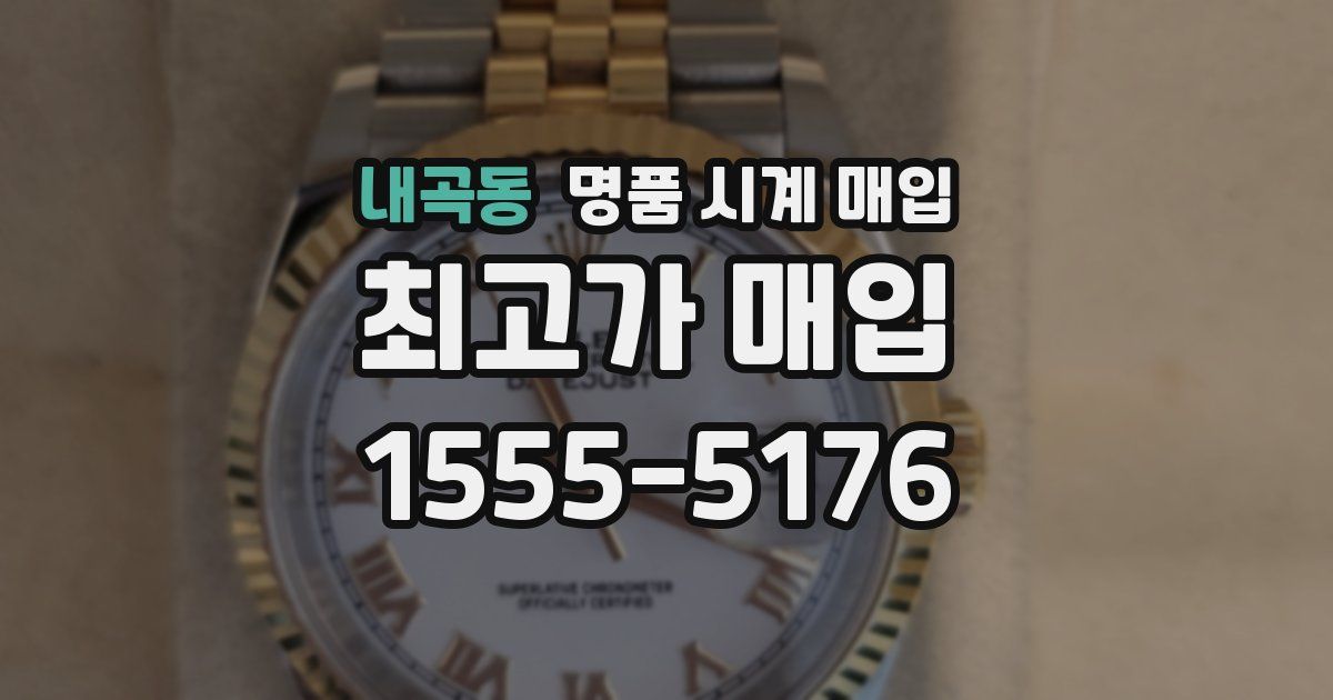 내곡동 명품 시계 매입
