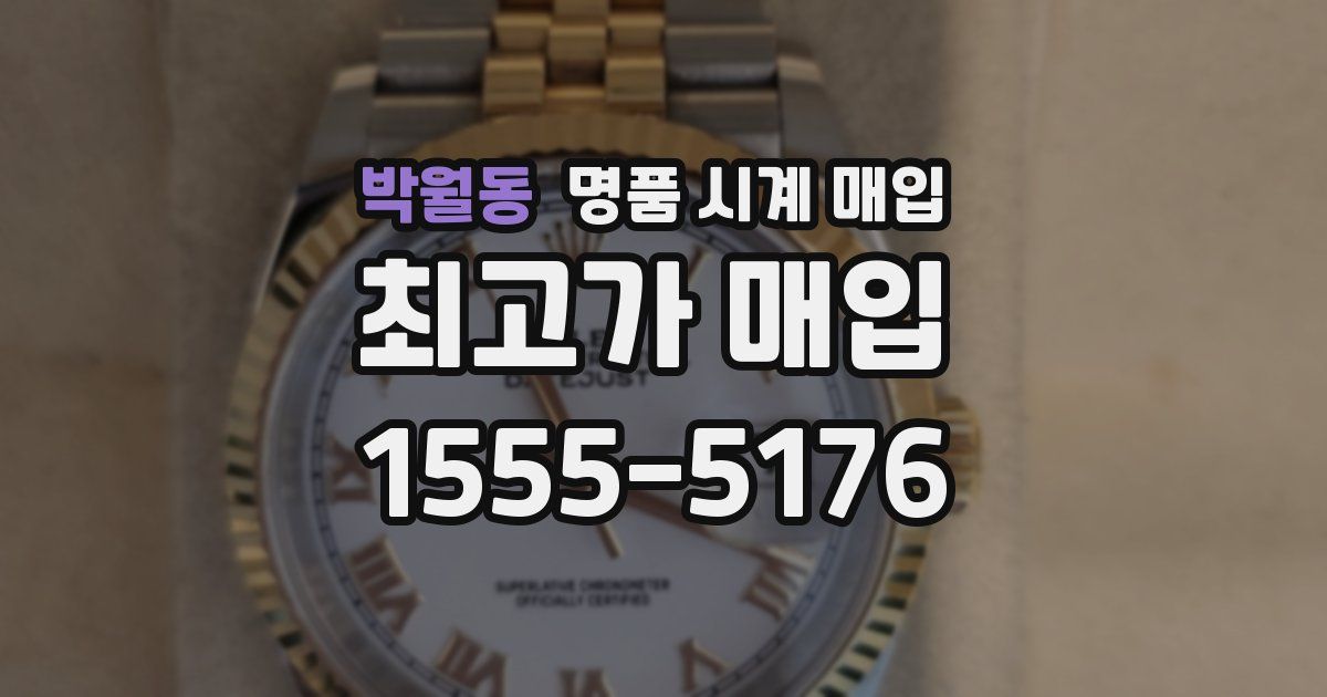 박월동 명품 시계 매입
