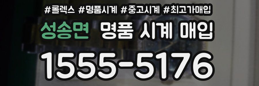 성송면 명품 시계 매입