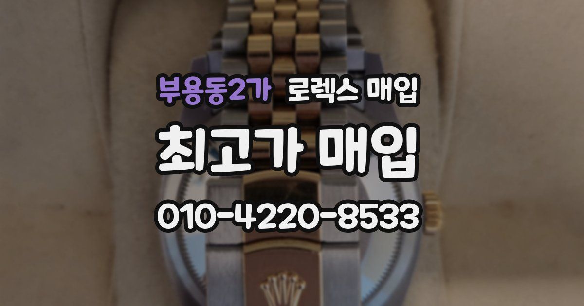 부용동2가 로렉스 매입