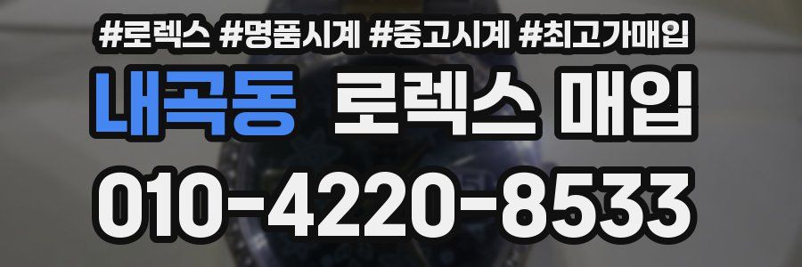 내곡동 로렉스 매입