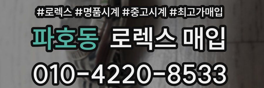 파호동 로렉스 매입