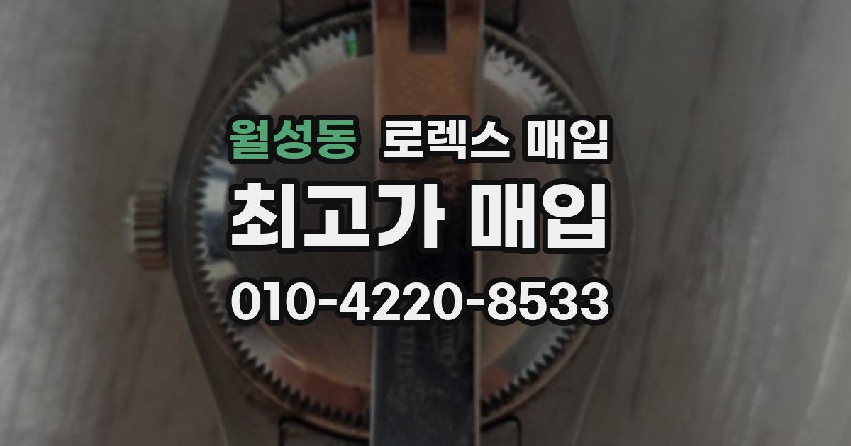 월성동 로렉스 매입