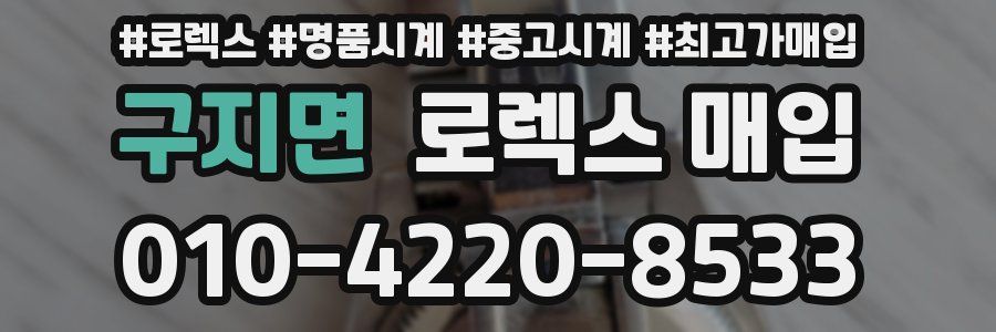 구지면 로렉스 매입