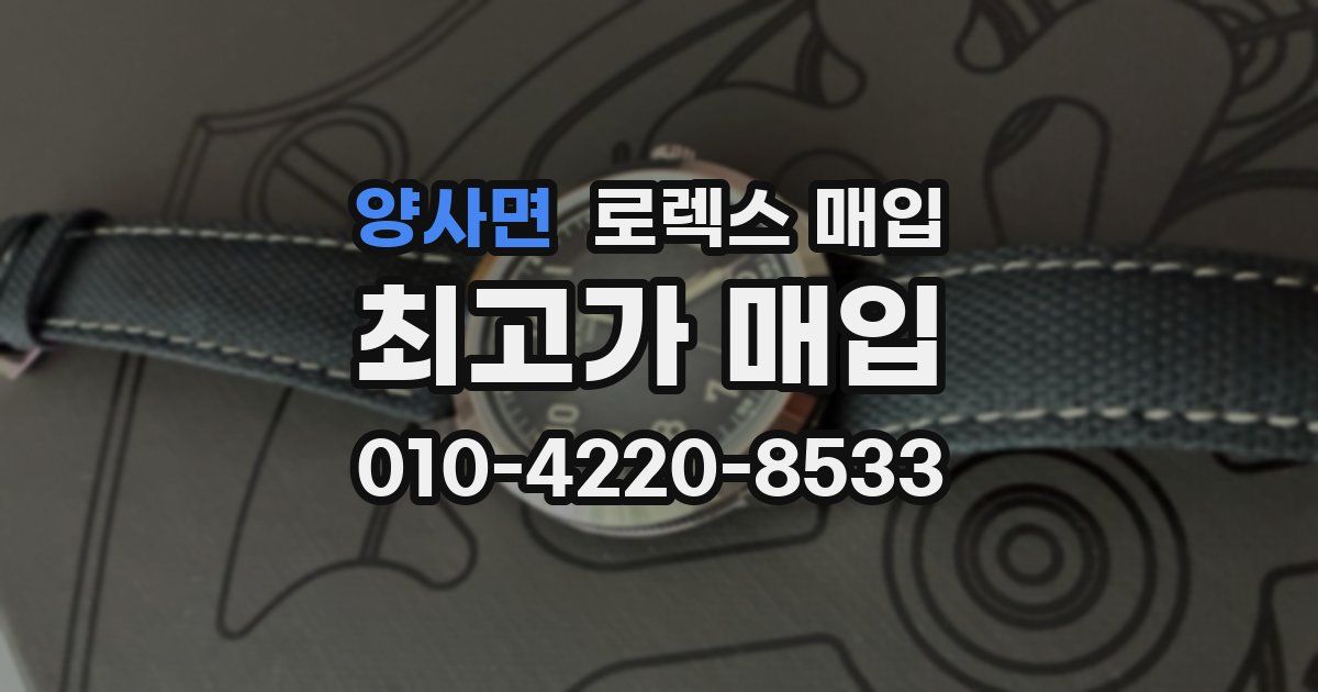 양사면 로렉스 매입