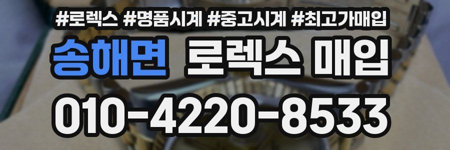 송해면 로렉스 매입