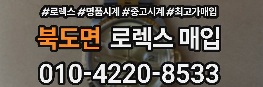 북도면 로렉스 매입