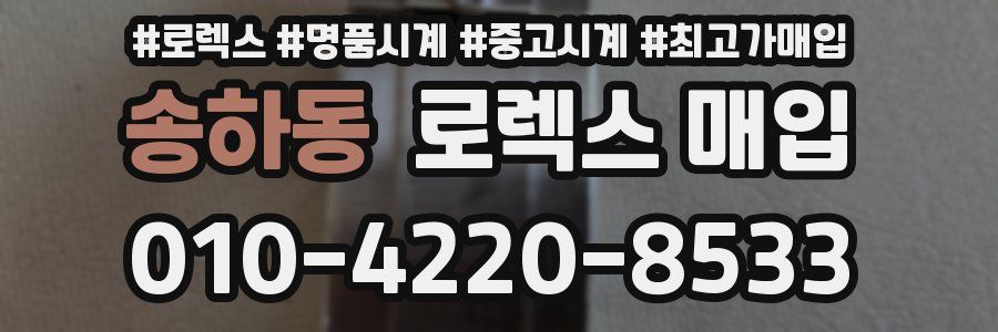 송하동 로렉스 매입