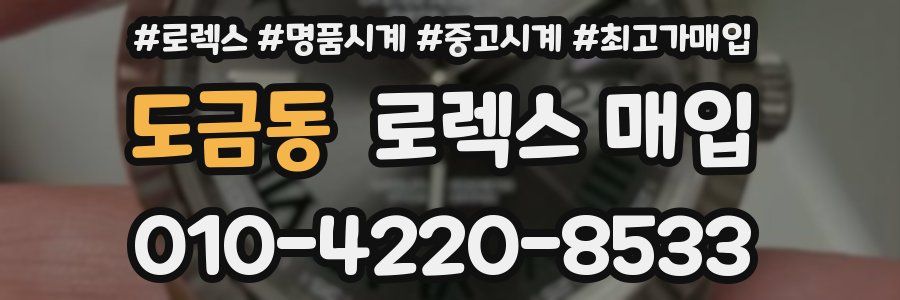 도금동 로렉스 매입
