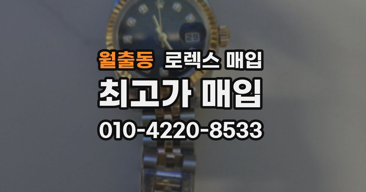월출동 로렉스 매입