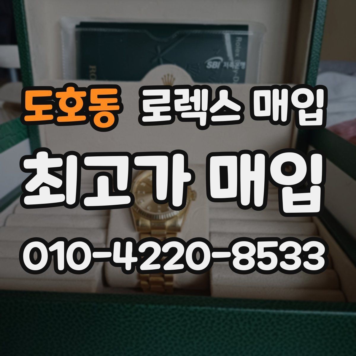 도호동 로렉스 매입 다이얼 옵션이 시세를 가르는 이유