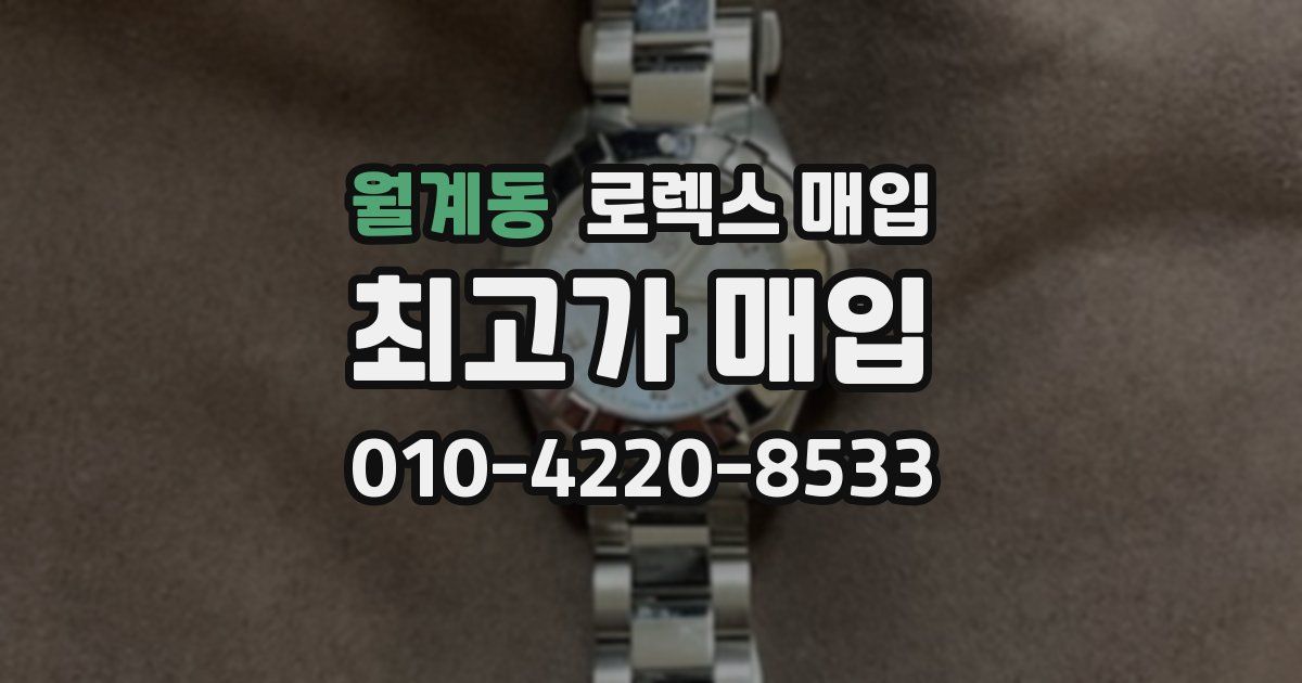 월계동 로렉스 매입