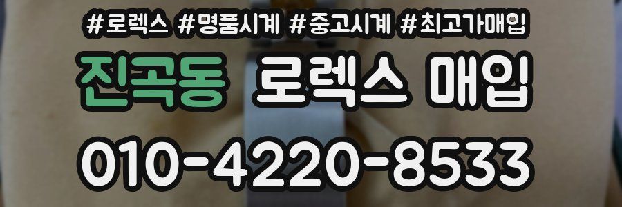 진곡동 로렉스 매입