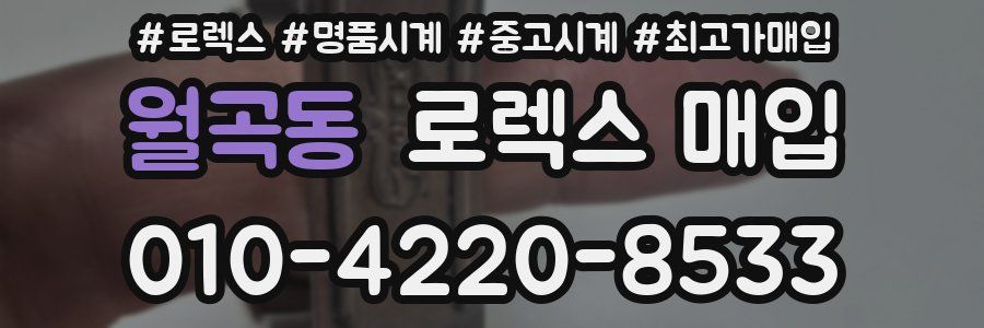 월곡동 로렉스 매입