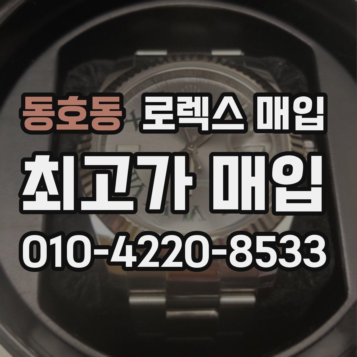 동호동 로렉스 매입 플래티넘 모델 시세 확인 방법