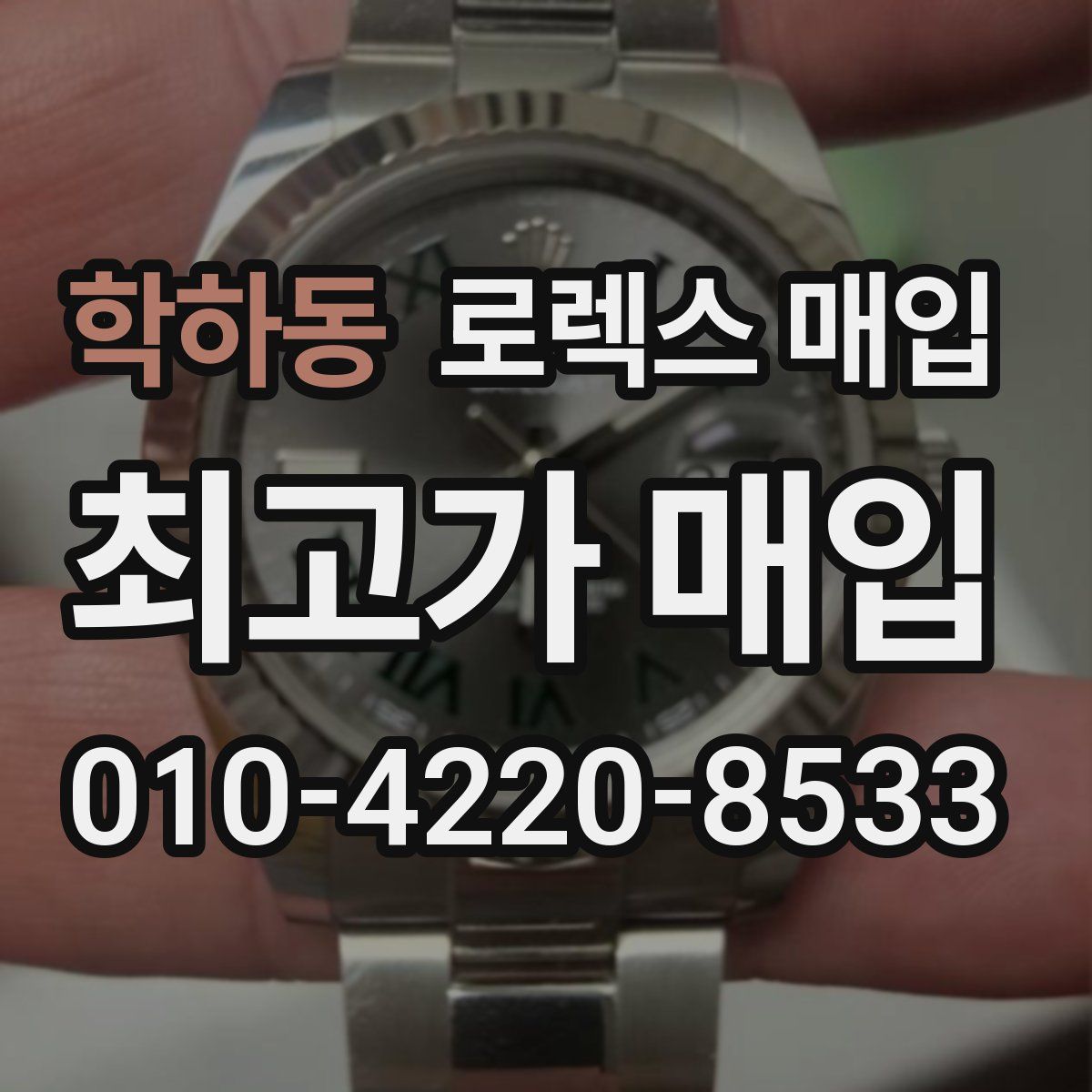 학하동 로렉스 매입