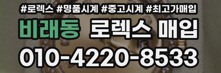비래동 로렉스 매입