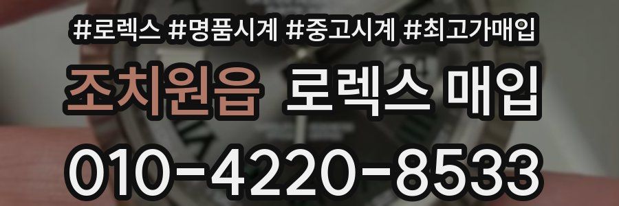 조치원읍 로렉스 매입