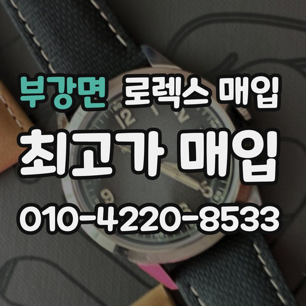 부강면 로렉스 매입