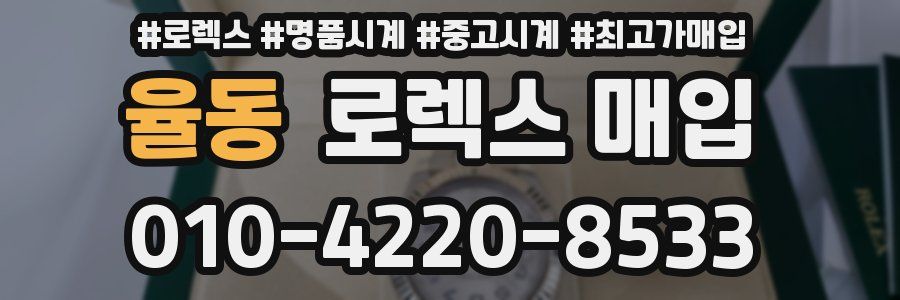 율동 로렉스 매입