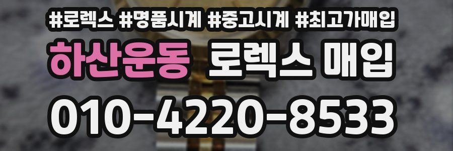 하산운동 로렉스 매입