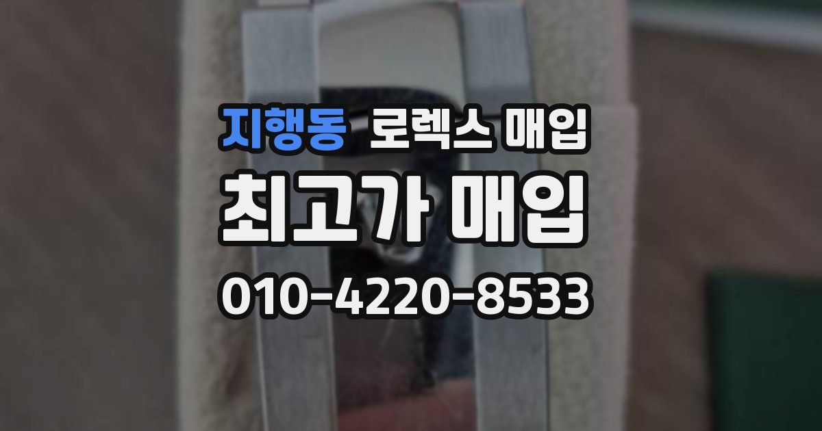 지행동 로렉스 매입