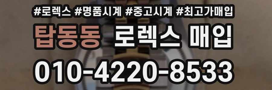 탑동동 로렉스 매입