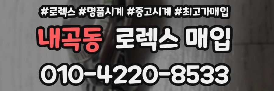 내곡동 로렉스 매입