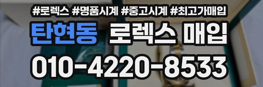 탄현동 로렉스 매입