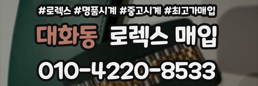 대화동 로렉스 매입