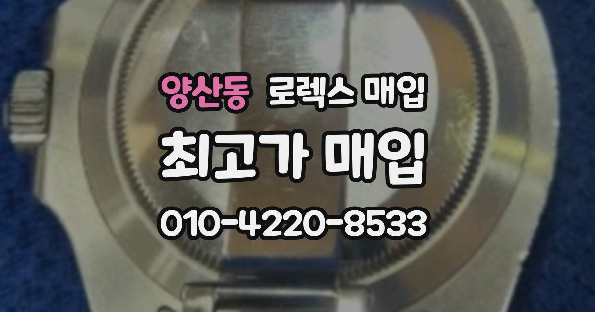 양산동 로렉스 매입