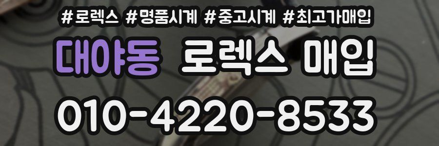 대야동 로렉스 매입