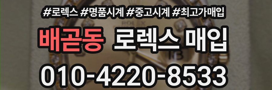 배곧동 로렉스 매입
