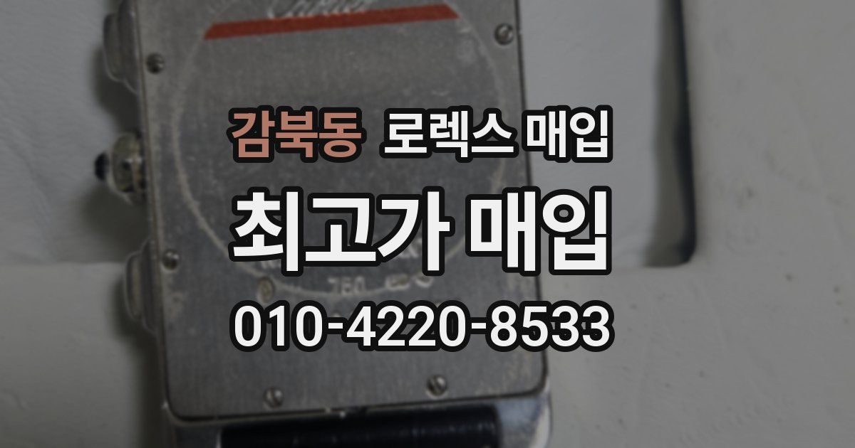 감북동 로렉스 매입