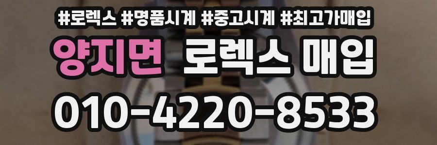 양지면 로렉스 매입