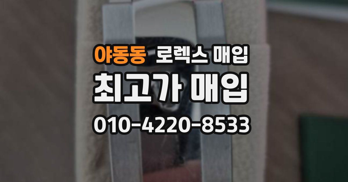 야동동 로렉스 매입