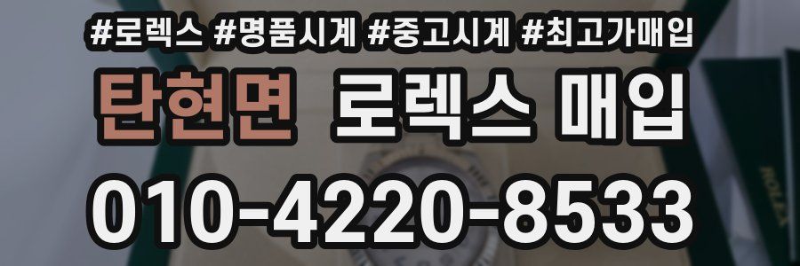 탄현면 로렉스 매입