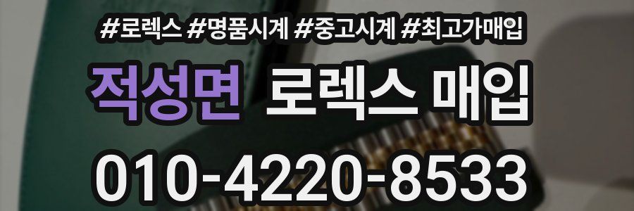적성면 로렉스 매입